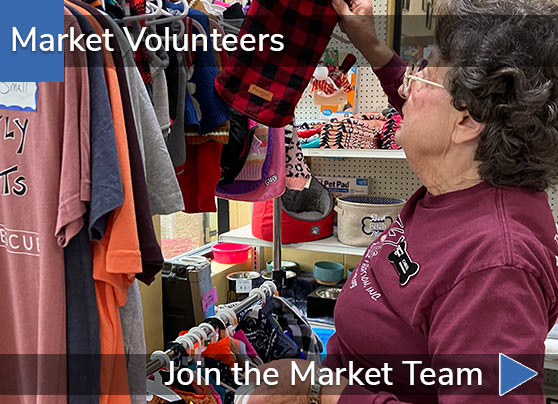 Market Volunteers