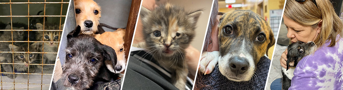 Individual donations header image