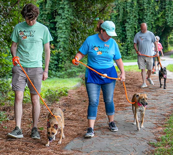 Shift dog walkers